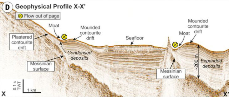 Geophys_Profile_x-x_D